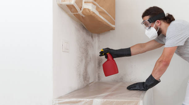 Professional Mold Testing technician working in Millstone Township, NJ