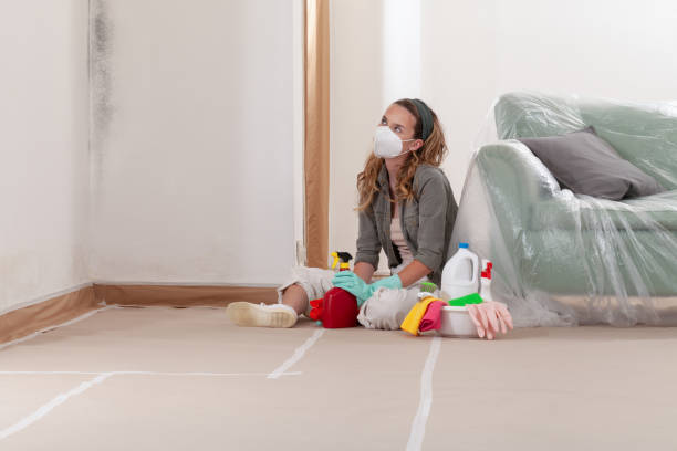 Reliable Mold Remediation contractor in Millstone Township, NJ by Cheap Mold Removal